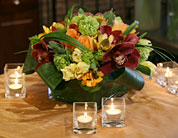 Centerpiece